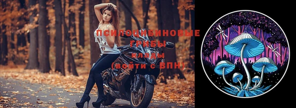 кокс Белокуриха