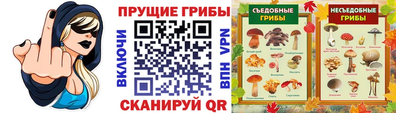 Псилоцибиновые грибы ЛСД  Подольск 